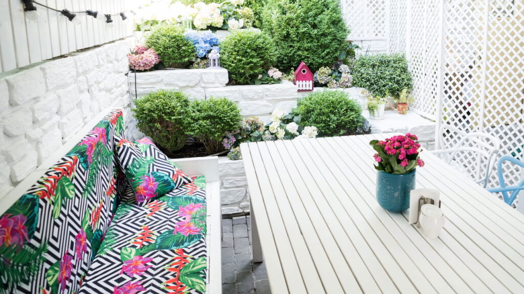 Plantas como a citronela e a malva são aliadas naturais contra insetos no jardim