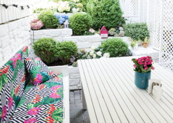 3 plantas que podem transformar seu jardim de primavera a verão