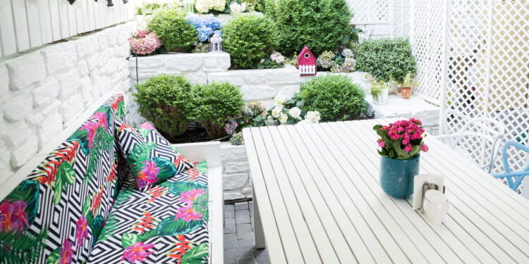 3 plantas que podem transformar seu jardim de primavera a verão