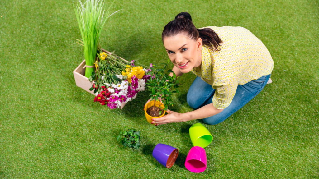 3 plantas que podem transformar seu jardim de primavera a verão