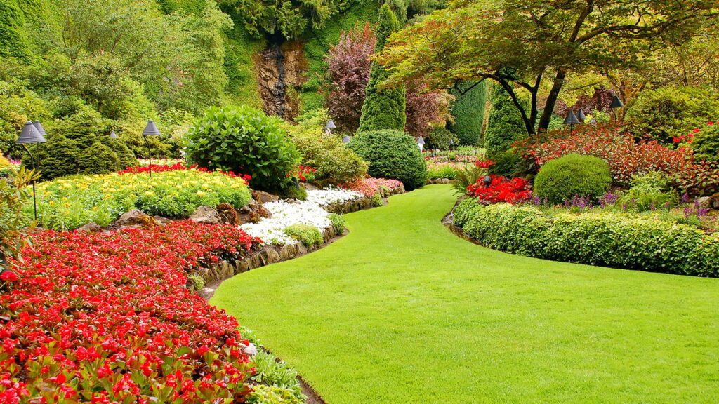 As 3 plantas que você precisa ter para flores durante todo o ano