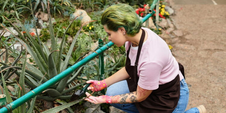 As 5 plantas que ajudam a manter sua casa mais fresca no verão!