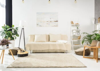 As 3 plantas que podem limpam o ar e tornam sua casa mais saudável!