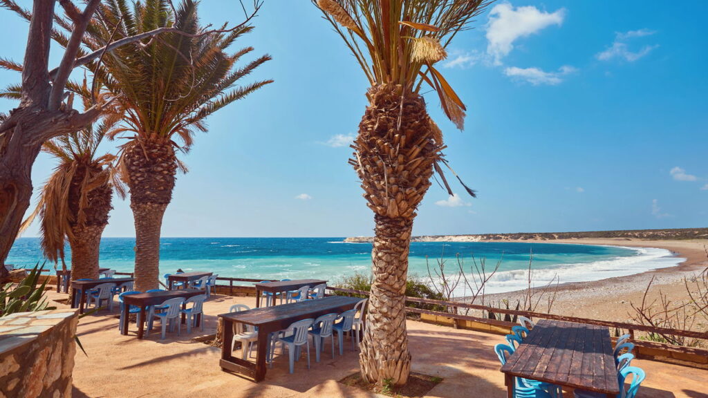 As plantas que estão melhorando a decoração dos lares