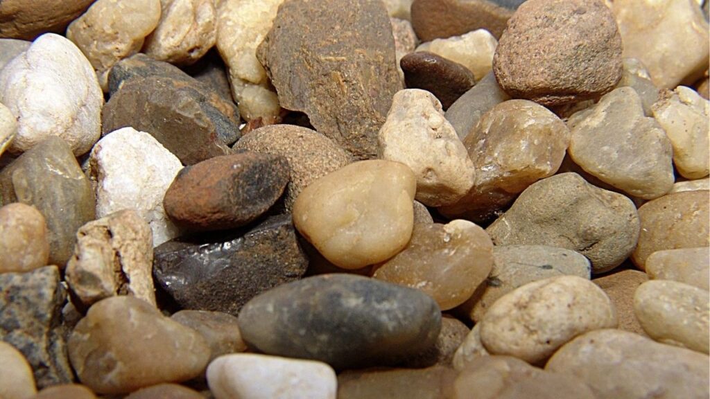 Nem grama natural, nem sintética: a cobertura que deixa o jardim bonito e sem manutenção