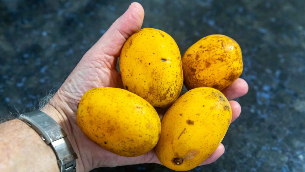 A fruta anti inflamatória que pode ser cultivada até na varanda