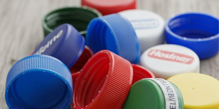 Por que colocar tampinhas de garrafas próximas às plantas pode salvar seu jardim?