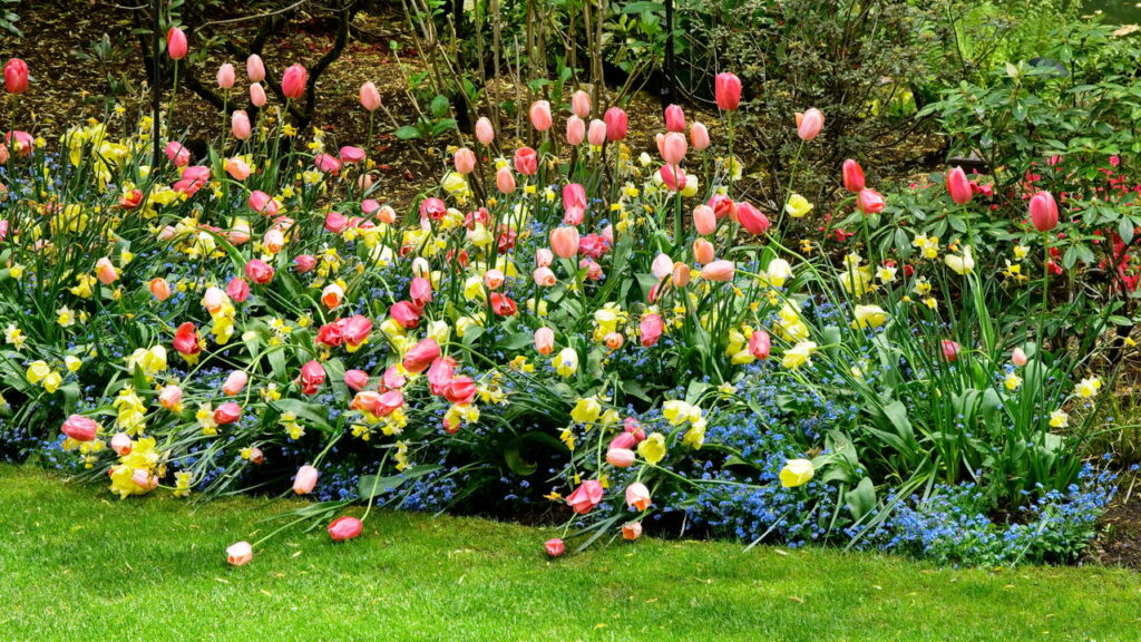 Flor elegante com aroma que apaixona qualquer é perfeita para sua casa