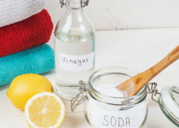 Vinagre e água sanitária juntos: perigo real ou mito?