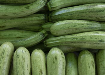 Hortaliça muito valorizada na culinária é apreciada também pelo fácil cultivo!