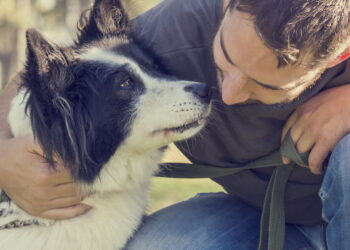 O que significa acariciar cachorros na rua segundo a psicologia