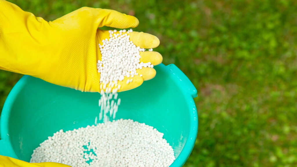 Passo a passo para reviver a orquídea e fazê-la florescer novamente