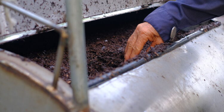 Adubo caseiro realmente funciona? Veja o que dizem os jardineiros