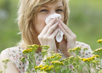 Adeus alergias: 5 plantas poderosas que funcionam como filtros naturais