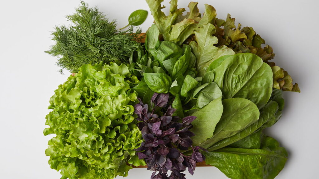 Conservação inteligente que preserva a crocância das folhas por mais tempo