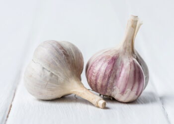 Saiba como usar o alho para afastar pragas das suas plantas