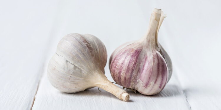 Saiba como usar o alho para afastar pragas das suas plantas