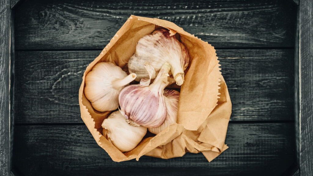 Essas plantas simples afastam pulgões do seu jardim