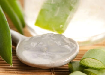 A babosa é um anti-inflamatório natural graças as suas propriedades curativas