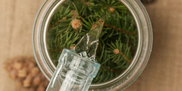 Não jogue fora o aparelho de mosquito ele pode perfumar sua casa