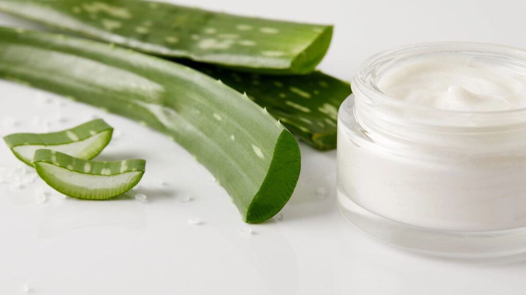 Planta versátil que cuida da pele e do seu jardim ao mesmo tempo!