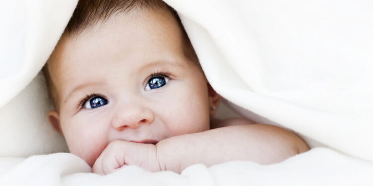 Os nomes de três letras mais registrados nos cartórios brasileiros