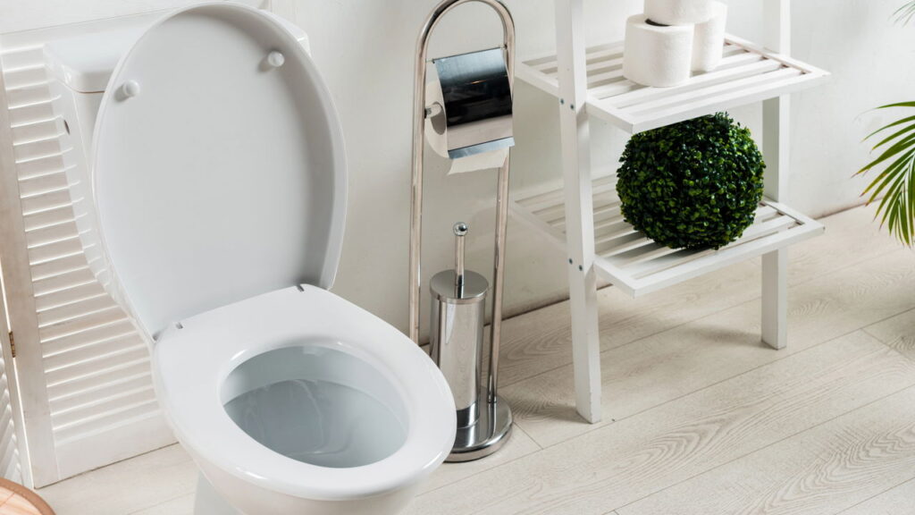 Nem água sanitária, nem cloro: como desinfetar o banheiro naturalmente