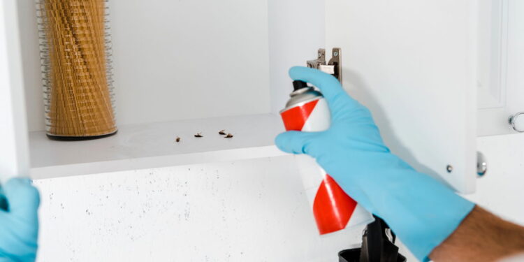 Você sabe onde as baratas se encondem na sua cozinha? Saiba quais são os lugares preferidos