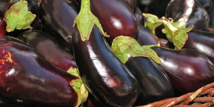 Vegetal versátil que pode crescer em seu quintal para uso a qualquer momento!