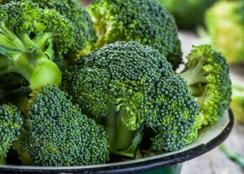 Hortaliça incrível cheia de benefícios à saúde e super cultivável