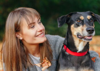 Seu companheiro de quatro patas entende suas emoções?