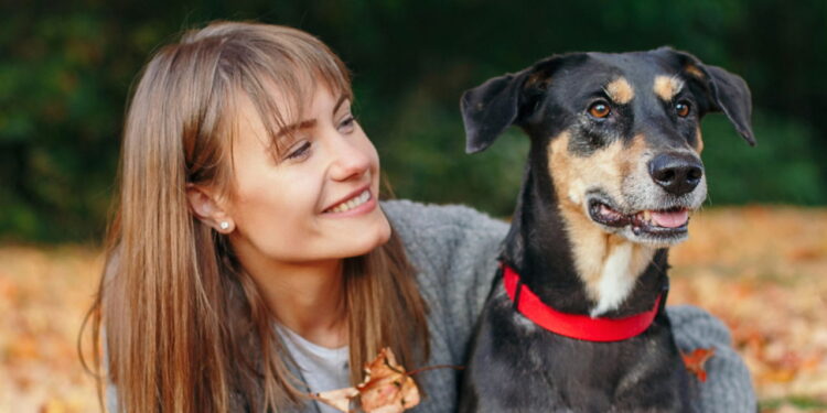Seu companheiro de quatro patas entende suas emoções?