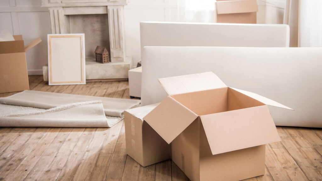 Esse objeto esquecido pode estar atraindo ratos para sua cozinha