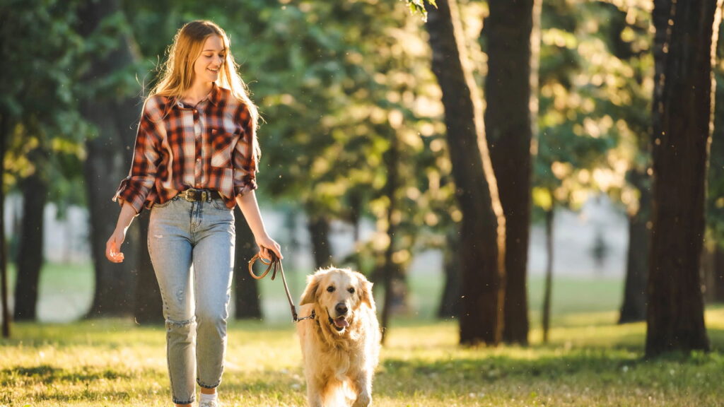A melhor atividade para fazer com o seu cachorro segundo a psicologia