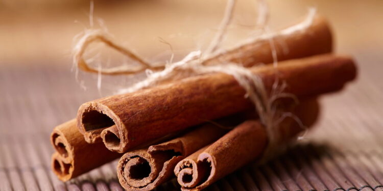 Os 3 insetos que a canela afasta melhor que repelente