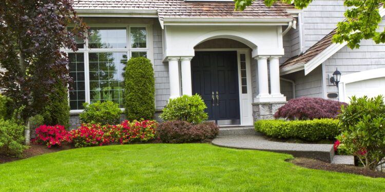 Casa limpa e jardim cuidado com menos esforço e mais eficiência