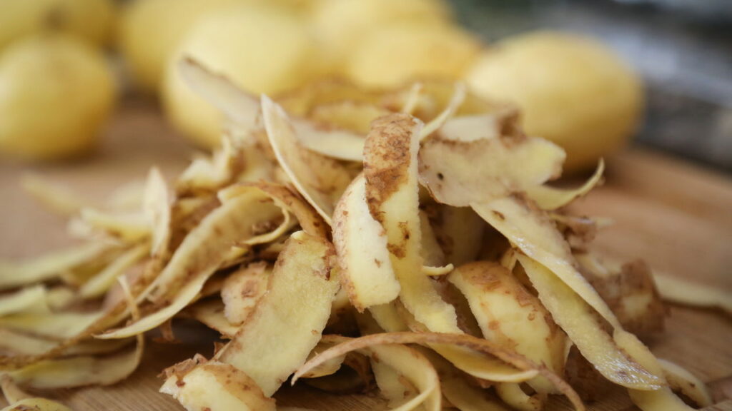 Nem café, nem casca de ovo: o truque caseiro que vai turbinar o seu jardim