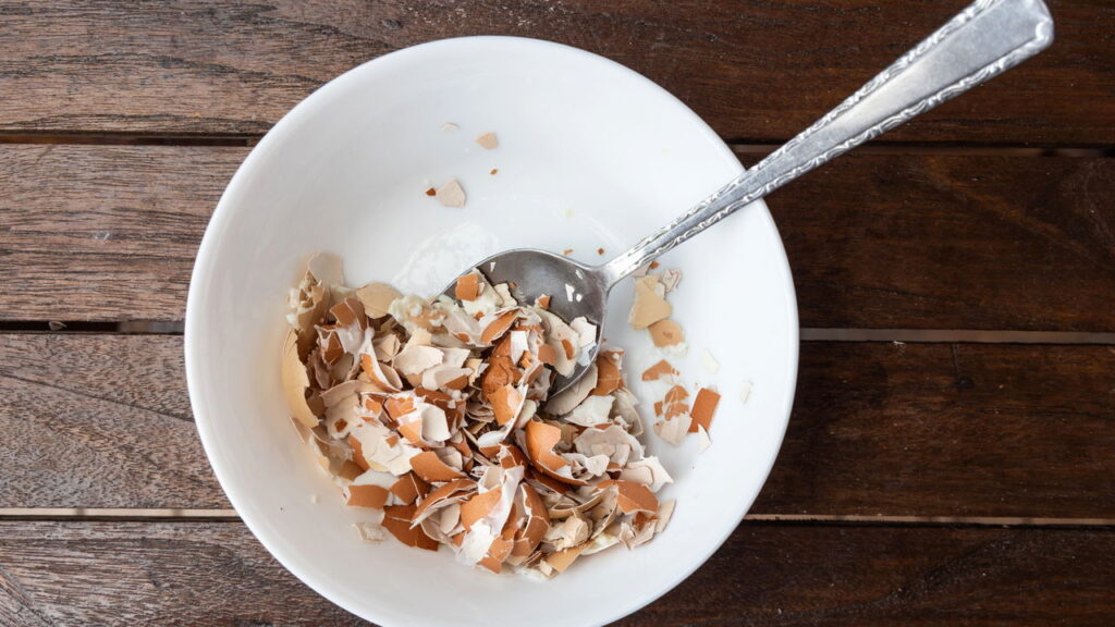 Como deixar suas plantas mais verdes em poucos dias