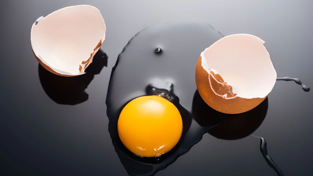 Café, ovo ou banana: qual casca é mais nutritiva para o solo?