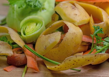 6 cascas de alimentos que funcionam como fertilizante sem gastar nada