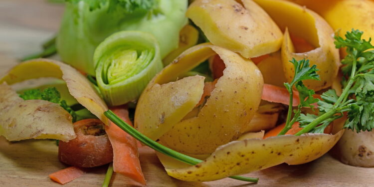 6 cascas de alimentos que funcionam como fertilizante sem gastar nada