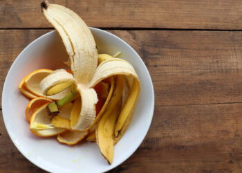 Como usar cascas de frutas para deixar o solo mais fértil naturalmente
