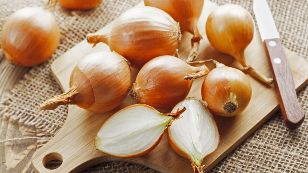 Cultive um dos ingredientes essenciais da culinária diretamente no seu jardim!