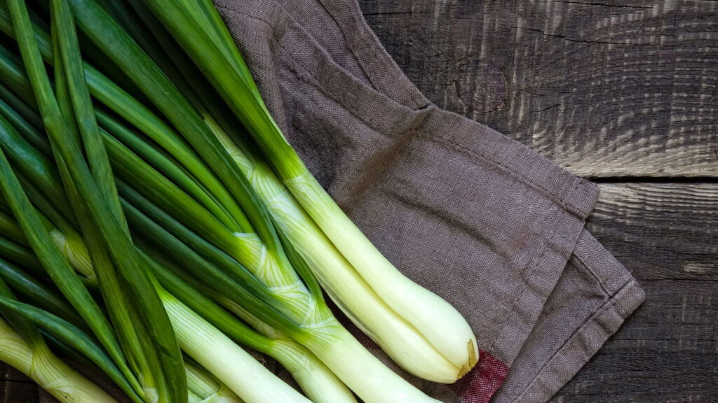 As 3 plantas que você pode cultivar na cozinha para temperos frescos
