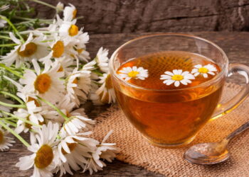 A melhor erva para ter chá fresquinho o ano inteiro em casa