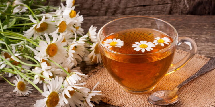 A melhor erva para ter chá fresquinho o ano inteiro em casa