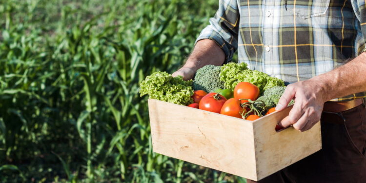 Você pode estar colhendo as suas plantas no momento errado