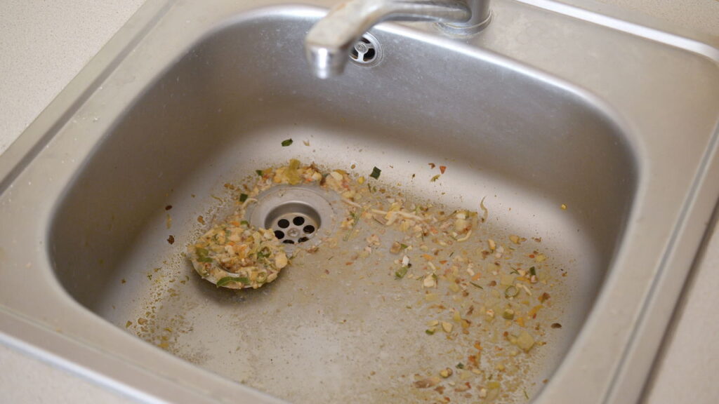 Por que restos de comida no ralo trazem pragas para a pia?