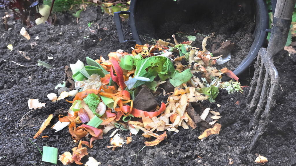 Qual é o melhor fertilizante natural para cada tipo de planta?