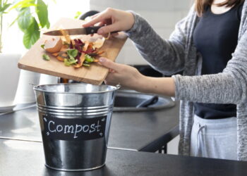 Como fazer fertilizante natural com restos de comida: guia passo a passo